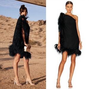 Cult Gaia Myrtle Feather Trimmed One Shoulder Dress Black NEW with tags